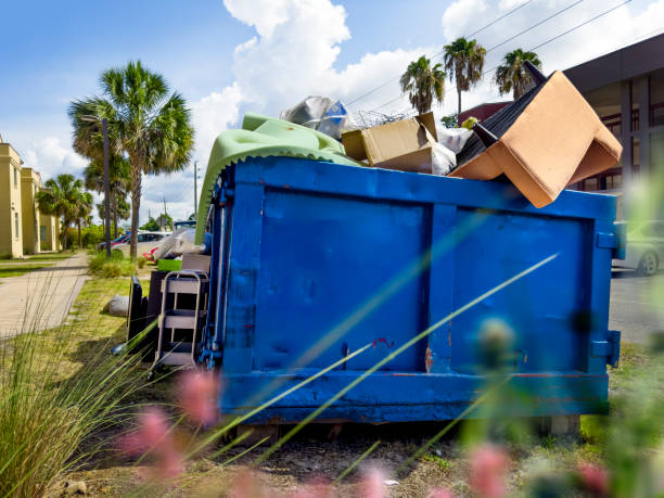 Best Attic Cleanout Services  in Fayetteville, WV